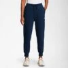 Women's The North Face Box NSE Jogger Pants Summit Navy/Summit Navy - NF0A7UP5 410 -Nike Store NF0A7UP5 410 M1